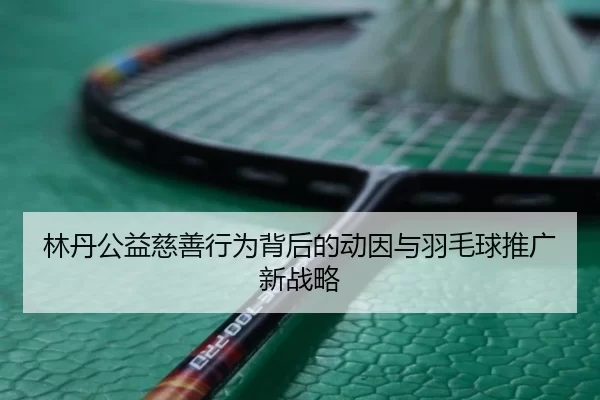 林丹公益慈善行为背后的动因与羽毛球推广新战略