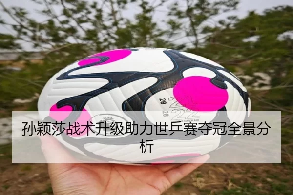 孙颖莎战术升级助力世乒赛夺冠全景分析